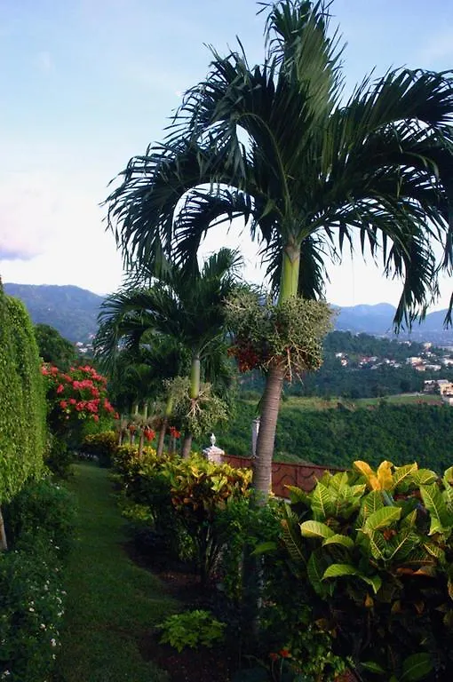 City View Hotel Kingston Bed & Breakfast